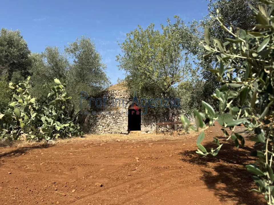 Farm hus i Ostuni, Brindisi - foto 3